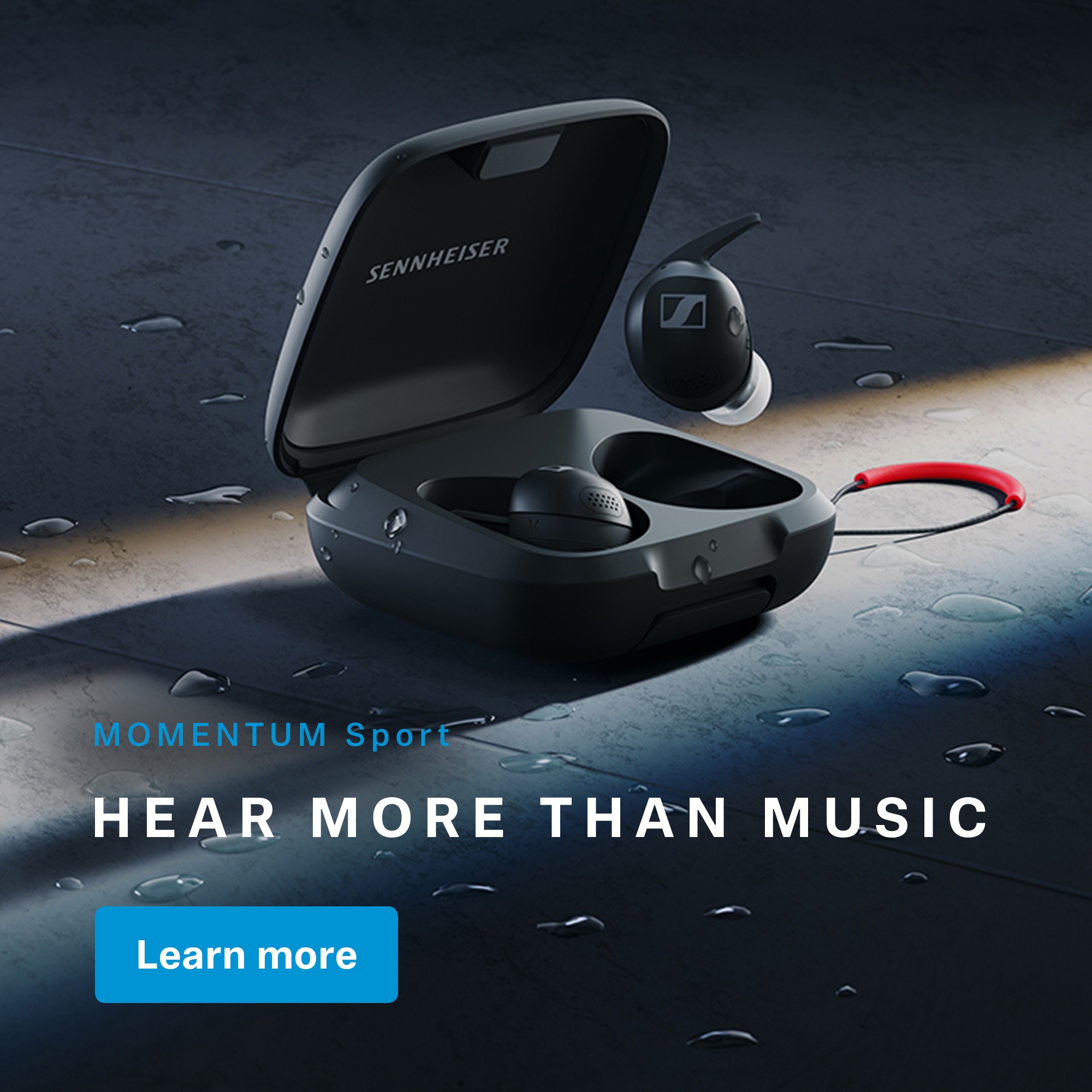 MOMENTUM Sport Image