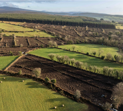 Aerial view of farmland with forest and open fields.