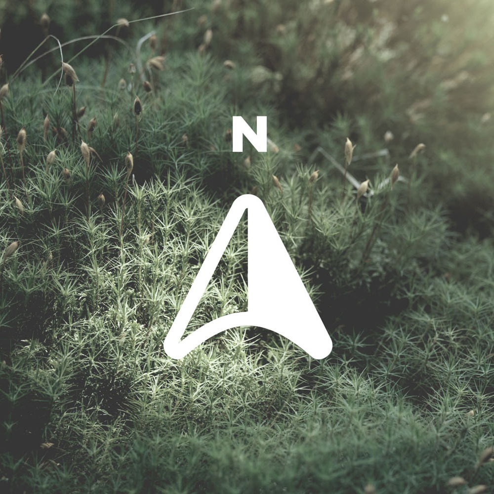 Noordi Icon: The North Arrow