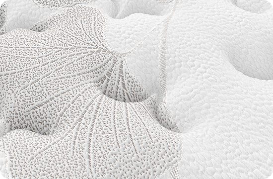 Feature Image