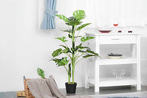 Floer Pots