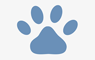 Pets