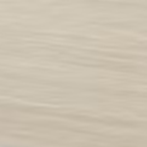 Biege Colour Swatch