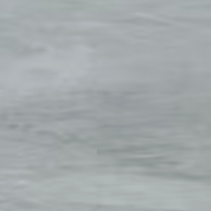 Grey Colour Swatch