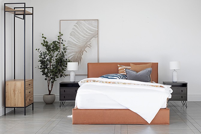 Kale Vegan Bed Green