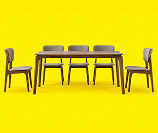 Furniture & Home